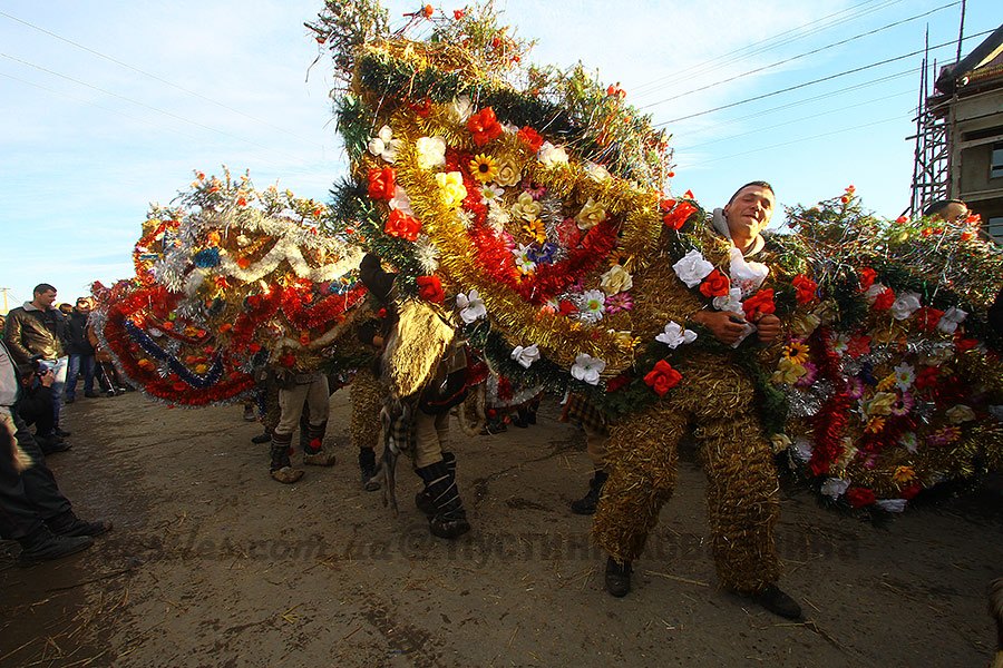 Красноїльськ 2015 malanka Crasna