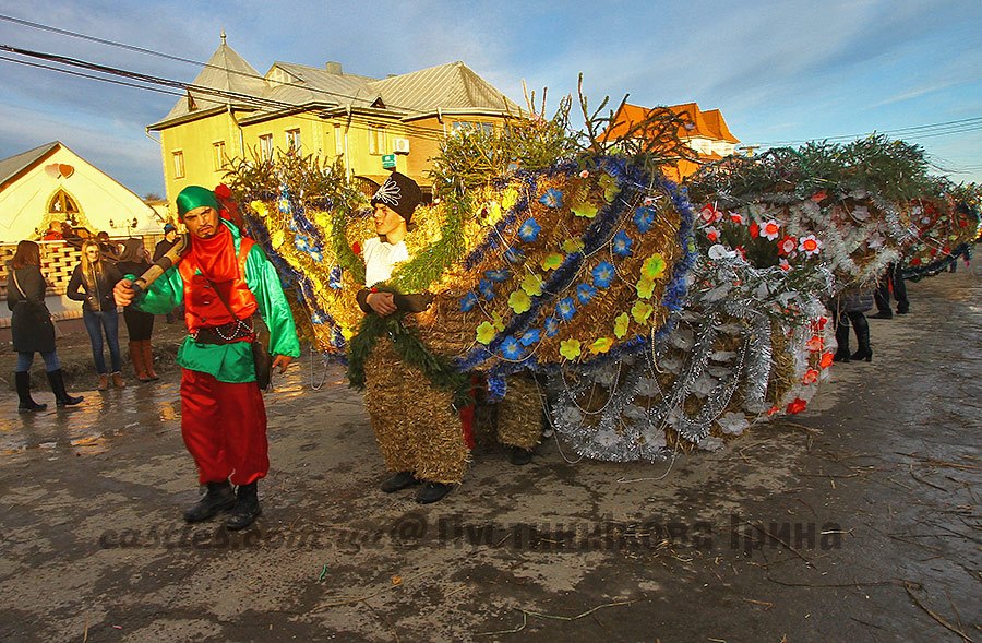 Красноїльськ 2015 malanka Crasna