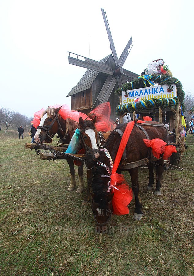 Від різдва до йордану 2015