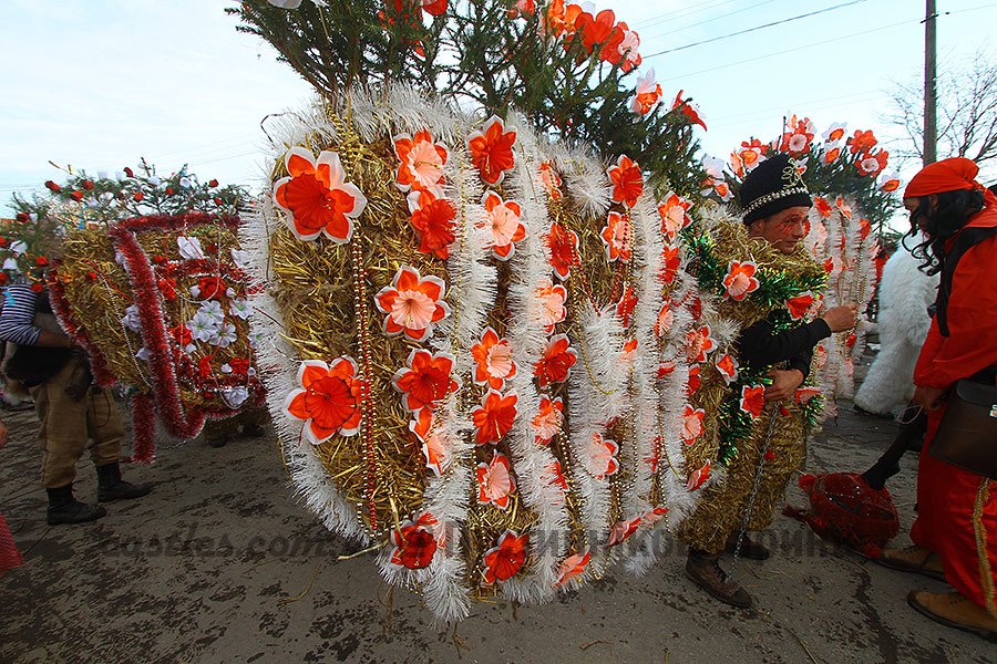 Красноїльськ 2015 malanka Crasna