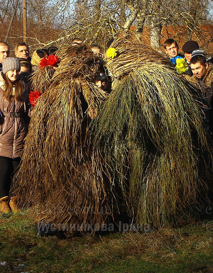 Маланка в Белелуї 2015